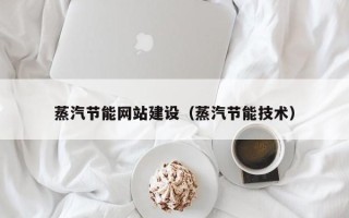 新疆蒸汽节能网站建设（蒸汽节能技术）